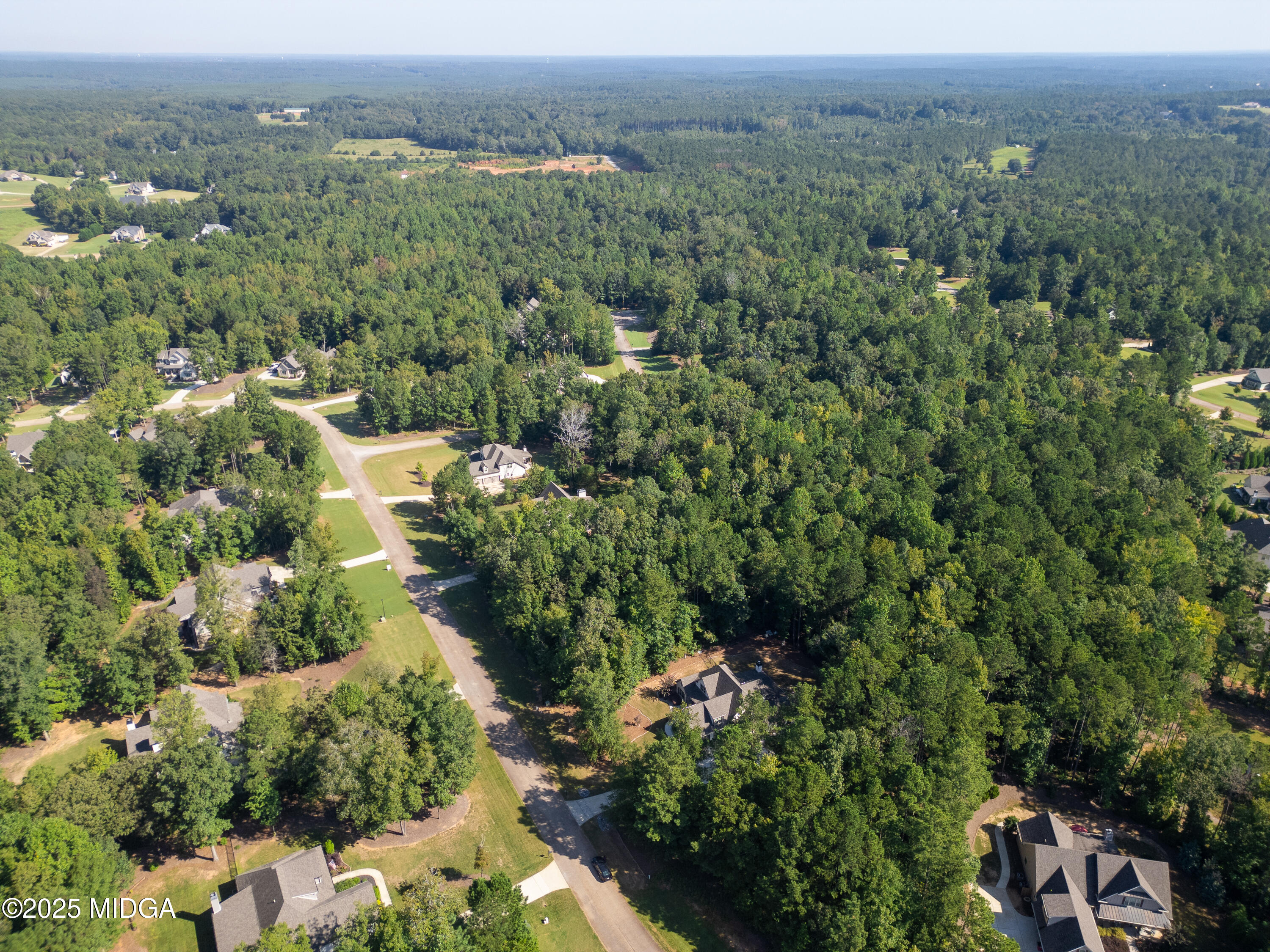 331 Preakness Way Forsyth, GA 31029 - Photo 78 of 85 331 Preakness Way-0834