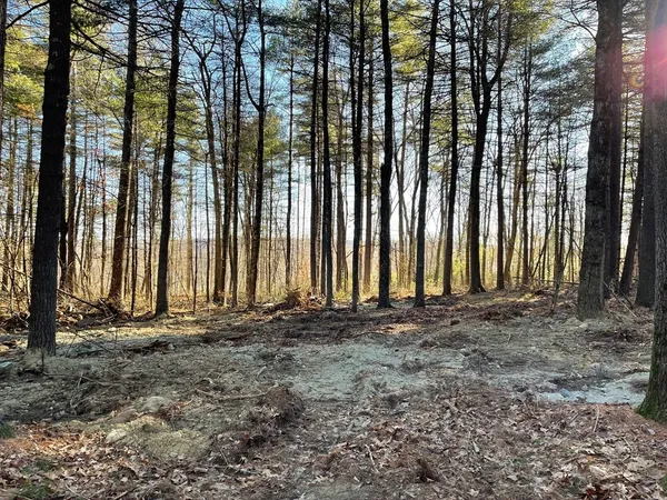 $135,000 | Lot 38 Michael Sears, Belchertown, MA 01007
