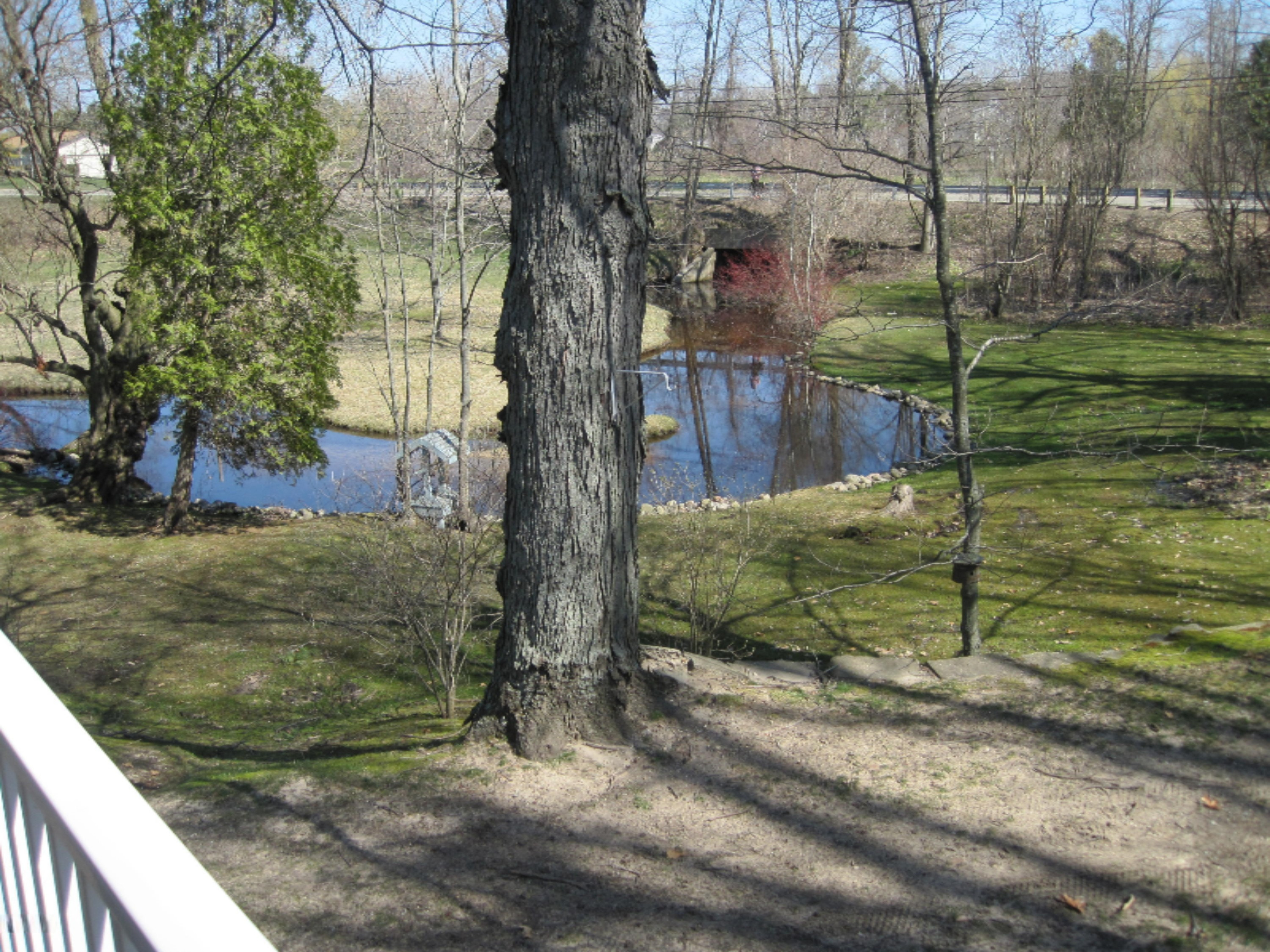 4069 West Stanton Road Stanton, MI 48888 - Photo 9 of 41 IMG_5108