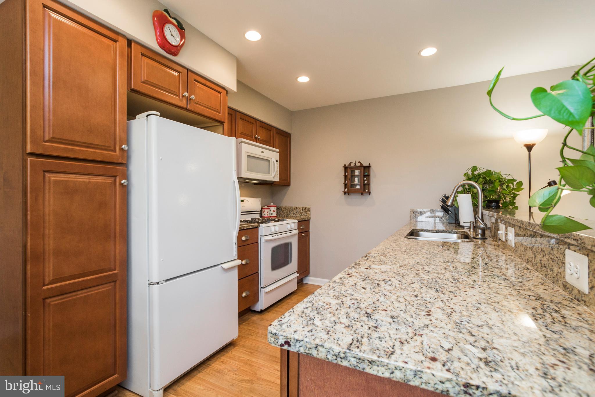 631 Waterloo Road, Unit 131 Warrenton, VA 20186 - Photo 10 of 23 Gourmet Kitchen with Ample Upgraded Cabinets