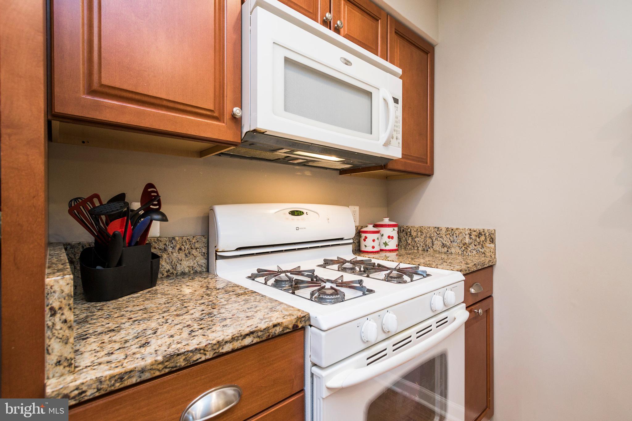 631 Waterloo Road, Unit 131 Warrenton, VA 20186 - Photo 11 of 23 Gourmet Kitchen with Gas Range