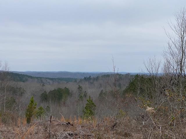 0 South No Pone, Unit PONE Decatur, TN 37322 - Photo 17 of 20