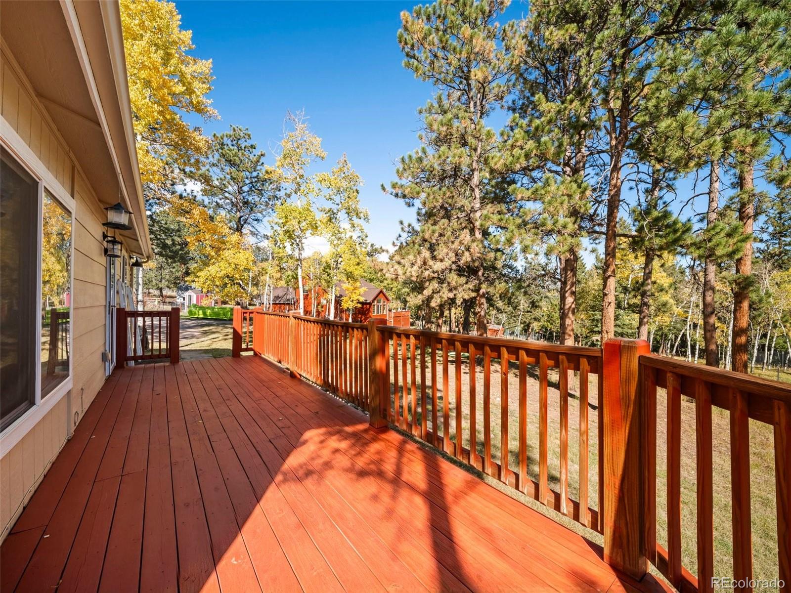 196 Beaver Trail Bailey, CO 80421 - Photo 10 of 50 Gallery Image 10