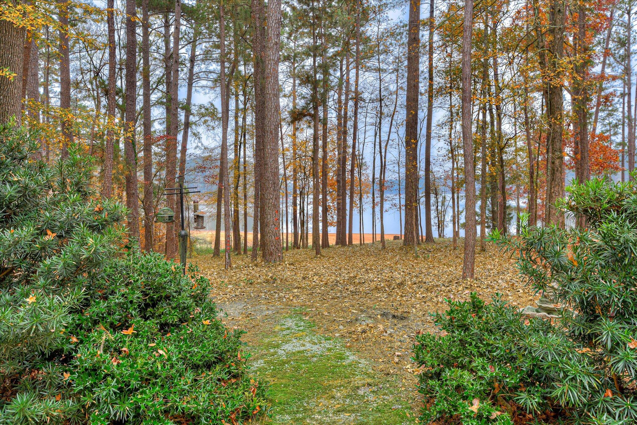 206 Roujon Trail McCormick, SC 29835 - Photo 49 of 70 56-156