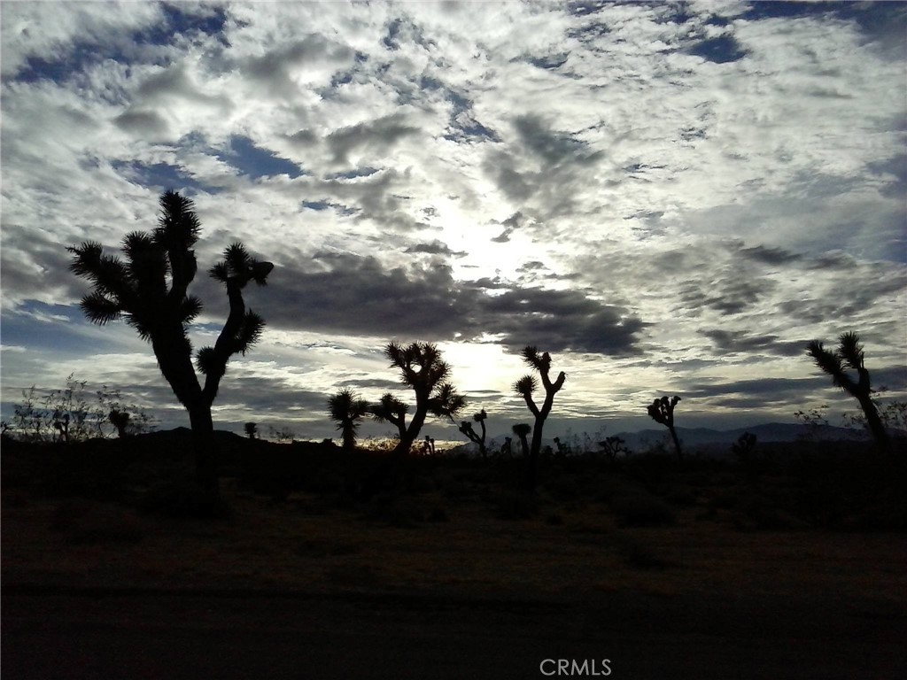 7550 Olympic Road Joshua Tree, CA 92252 - Photo 1 of 1 a view of a lake
