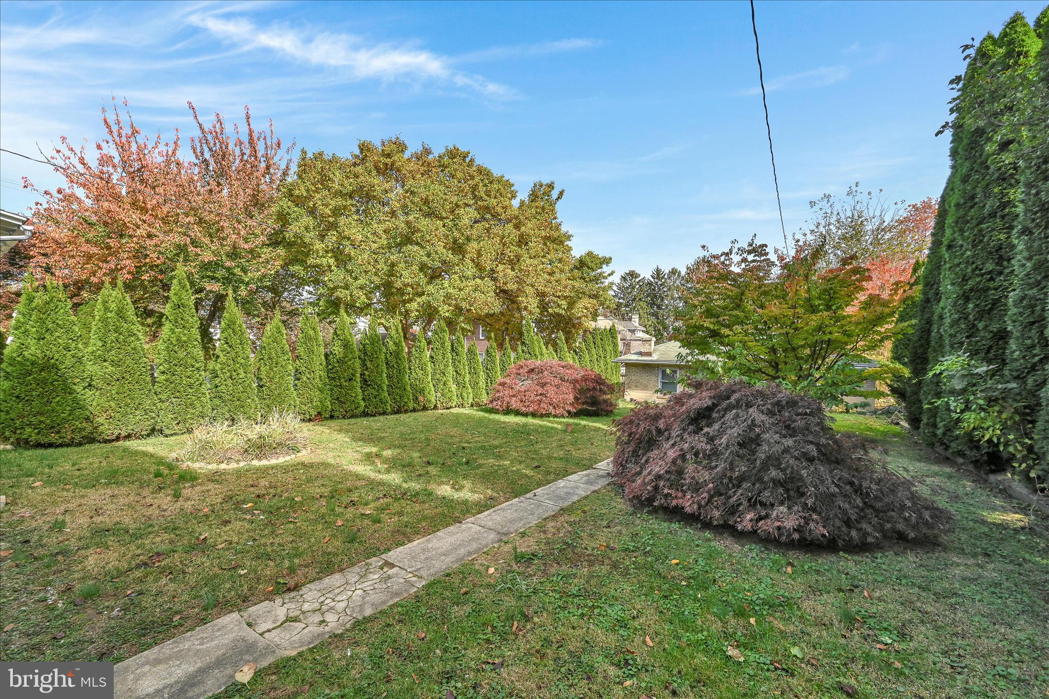 149 Tulpehocken Avenue Reading, PA 19611 - Photo 39 of 44 a view of a park with large trees