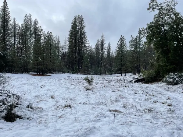 $445,000 | 5863 Silver Saddle Drive, Murphys, CA 95247