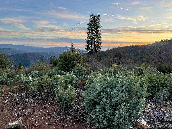 $445,000 | 5863 Silver Saddle Drive, Murphys, CA 95247