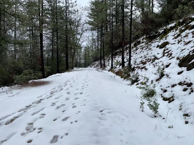 $499,000 | 5863 Silver Saddle Drive, Murphys, CA 95247