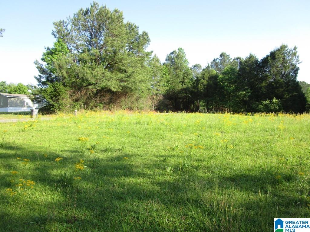 4956 Kings Mill Road Oakman, AL 35579 - Photo 21 of 27