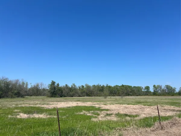 a view of lake with trees