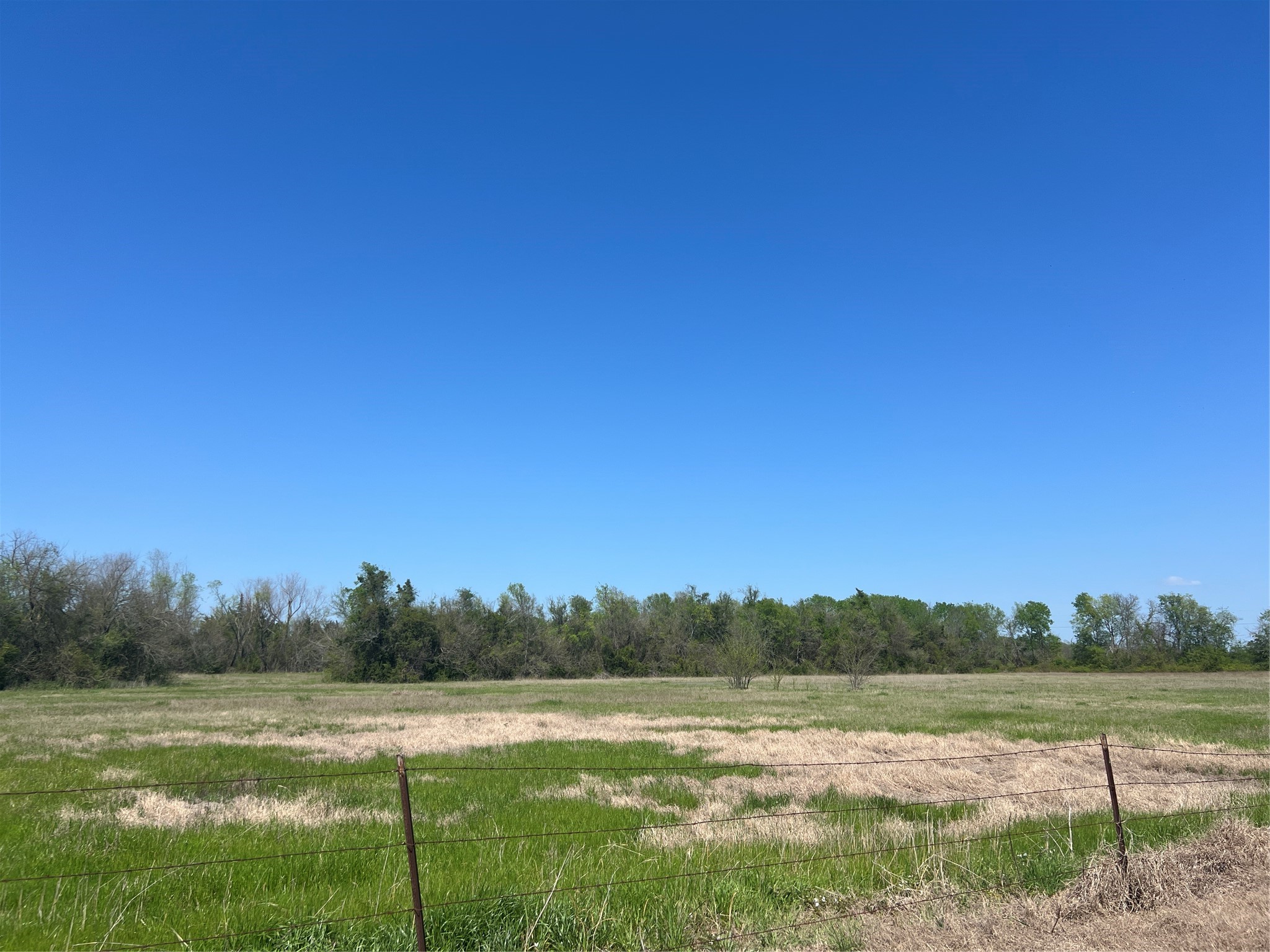 12 Cr 218 Road Anderson, TX 77830 - Photo 1 of 9 a view of lake with trees