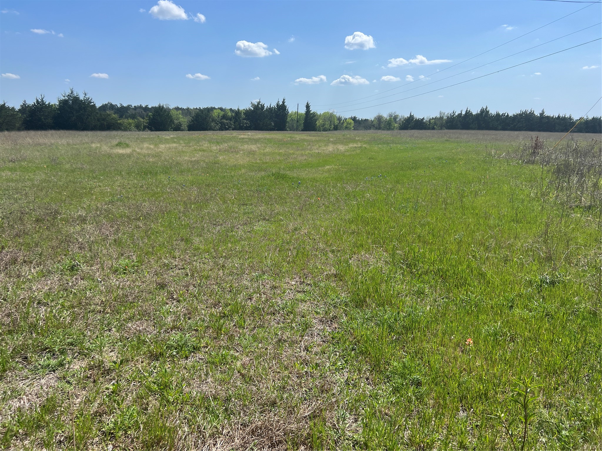 12 Cr 218 Road Anderson, TX 77830 - Photo 3 of 9 a view of a lake from a yard