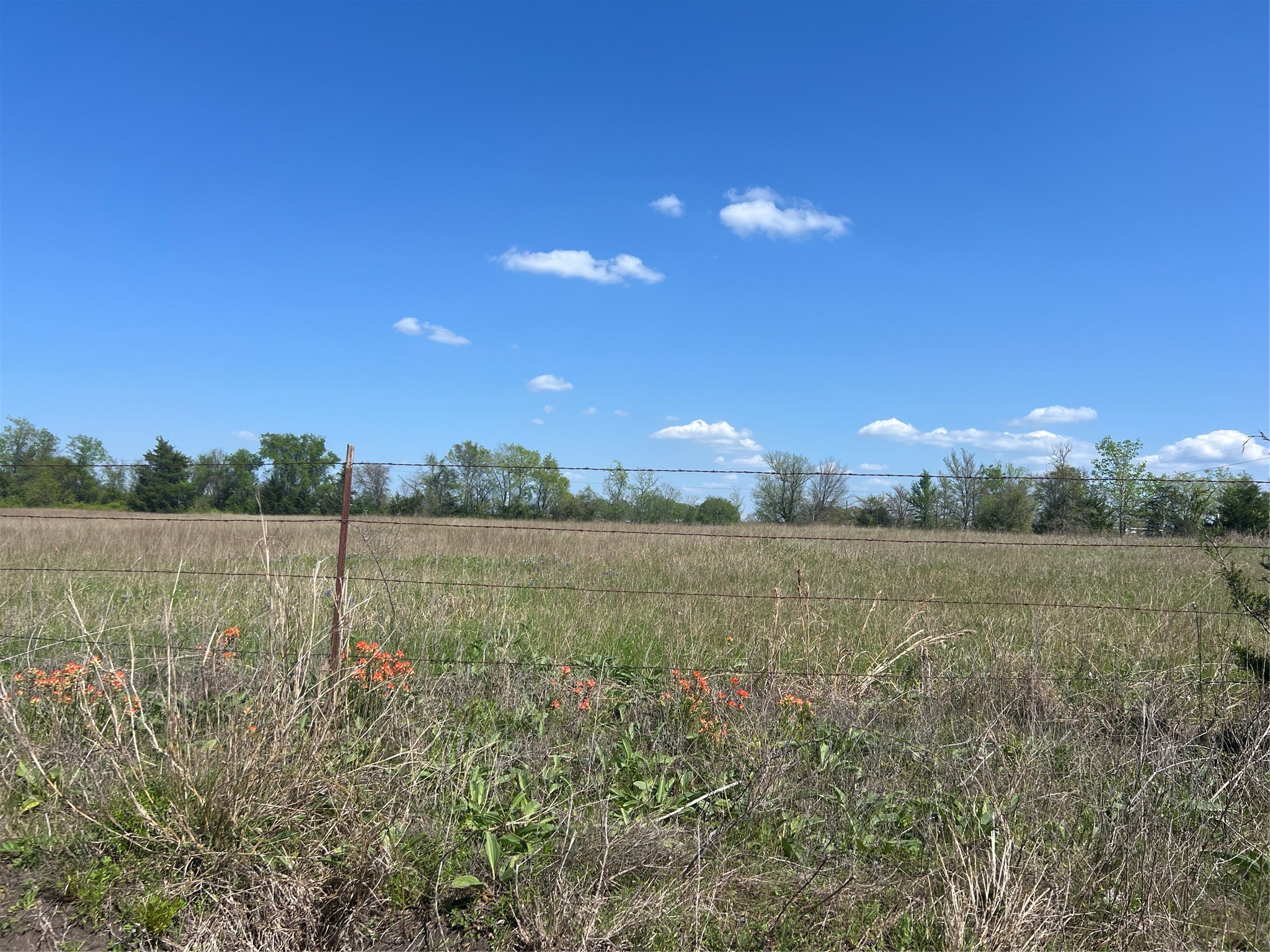 12 Cr 218 Road Anderson, TX 77830 - Photo 5 of 9 a view of lake with green space