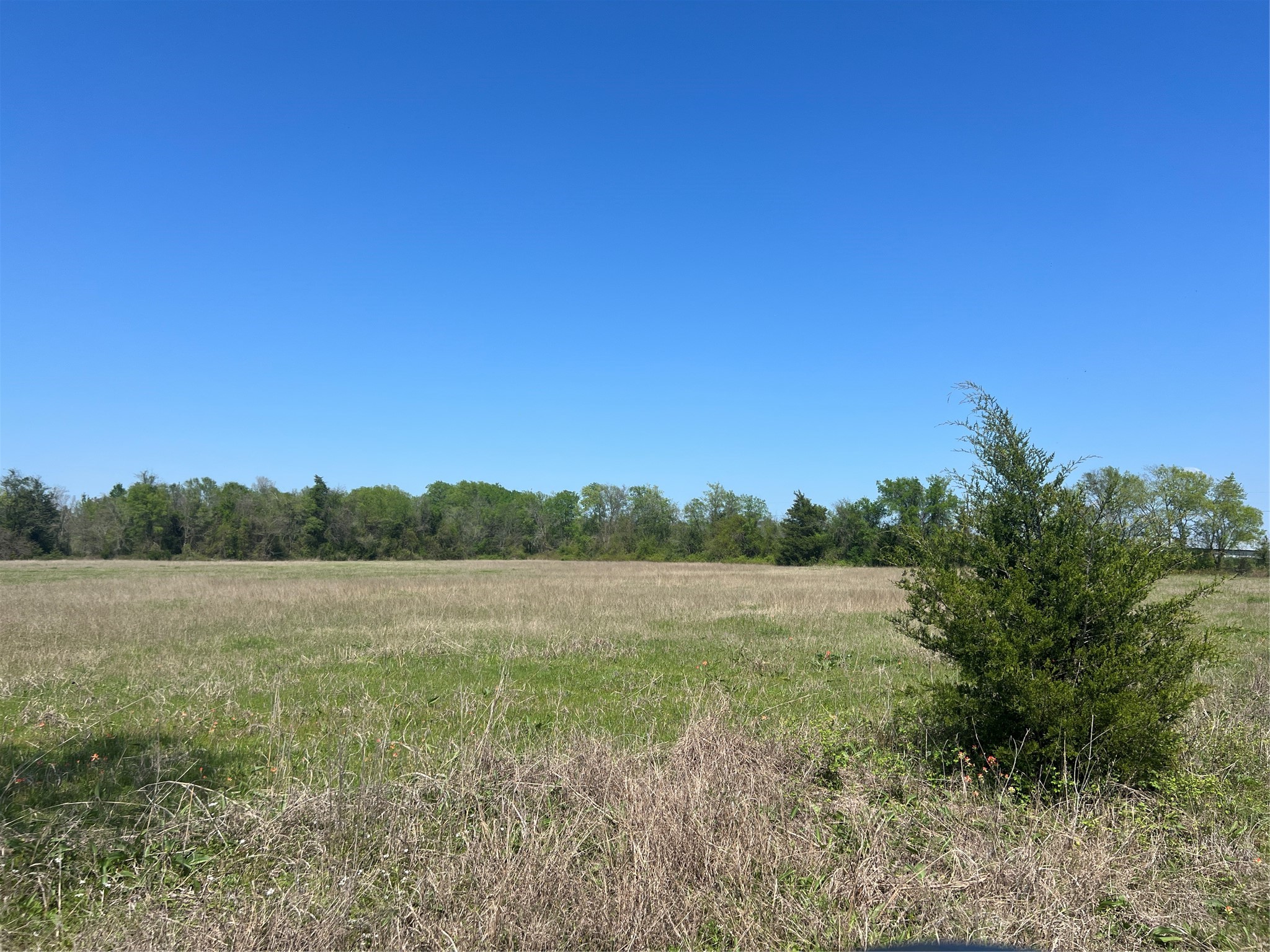 12 Cr 218 Road Anderson, TX 77830 - Photo 6 of 9 a view of mountain and a field