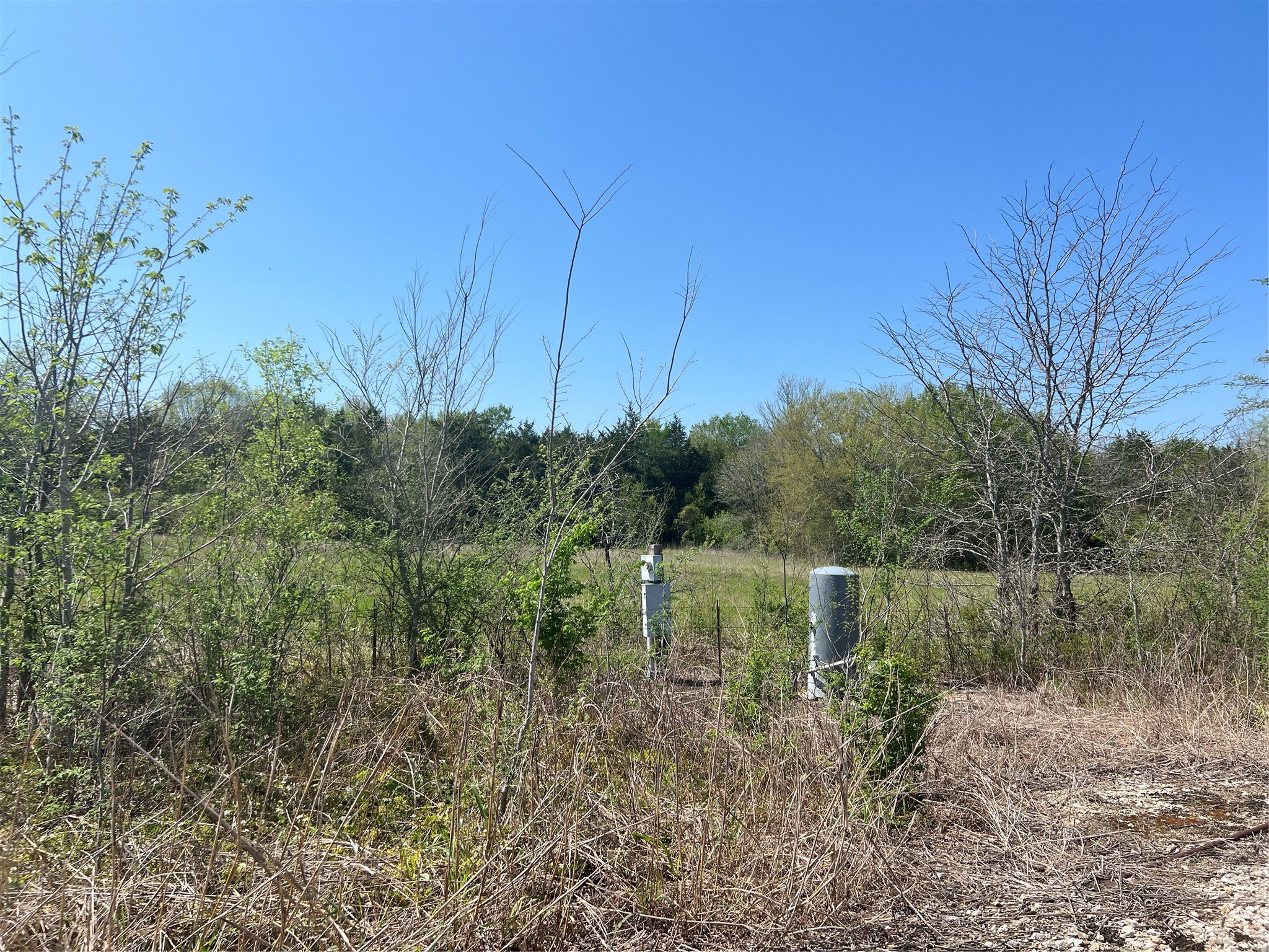 12 Cr 218 Road Anderson, TX 77830 - Photo 9 of 9 a view of a forest with lots of trees