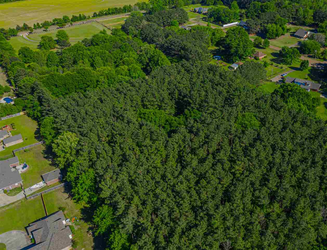 285 Clarkdell Road Canton, MS 39046 - Photo 5 of 48 Photo 5
