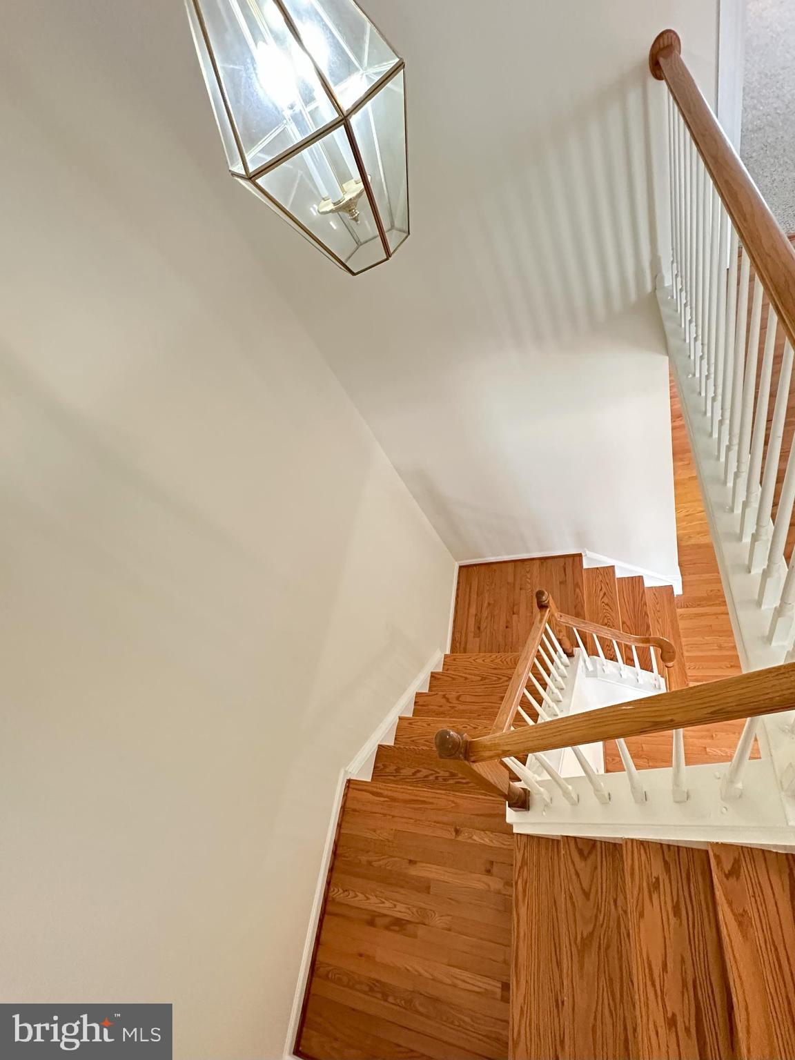 42756 Locklear Terrace Chantilly, VA 20152 - Photo 19 of 43 a view of a swimming pool