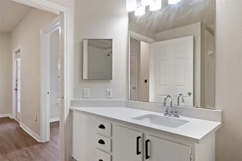 a bathroom with a sink and a mirror