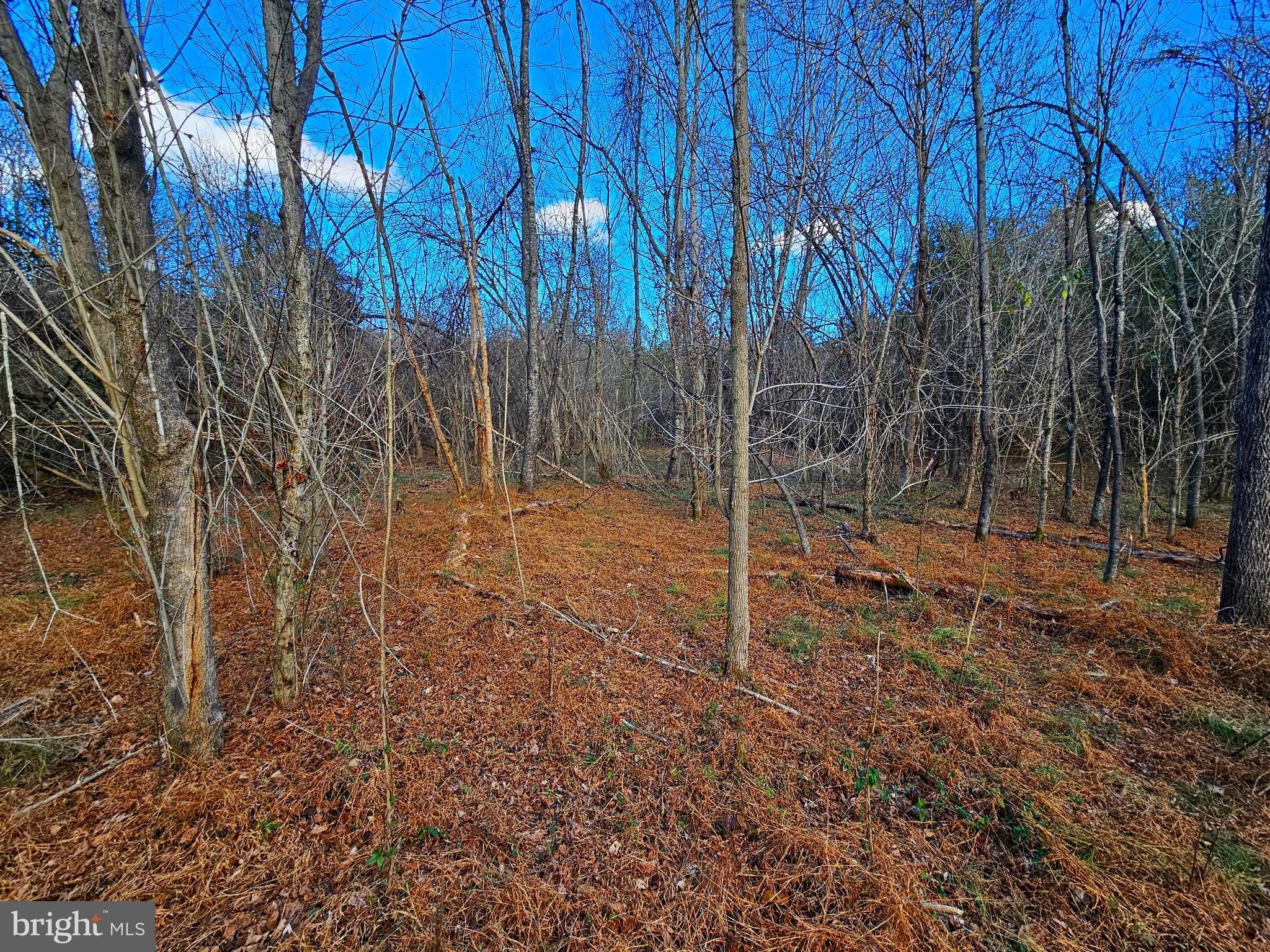 Waugh Road Unionville, VA 22567 - Photo 7 of 9 30+ acres!