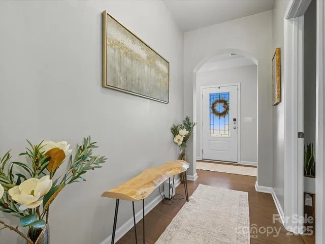 a living room with a rug and a potted plant