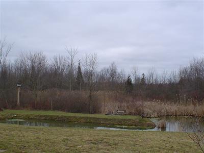 5241 Riverside Road Coloma, MI 49038 - Photo 4 of 20 Additional Photo