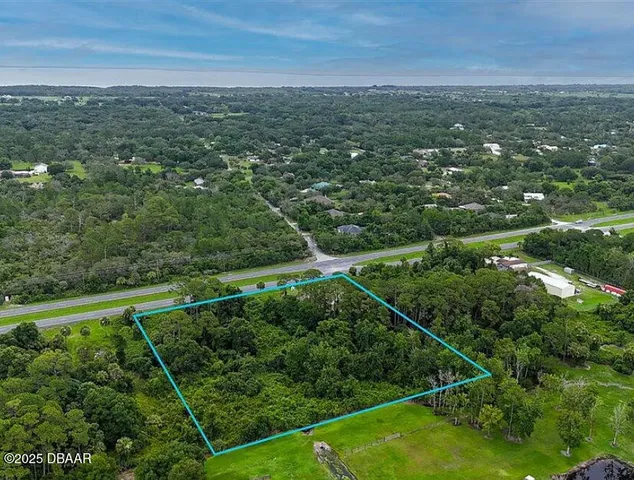 a view of a city with lush green forest
