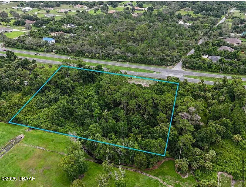 4150 U.S. Rte 1 Mims, FL 32754 - Photo 3 of 6 a view of a lush green field