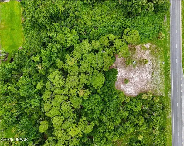 a view of a garden with a plant
