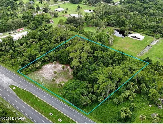 a view of a garden with a bench