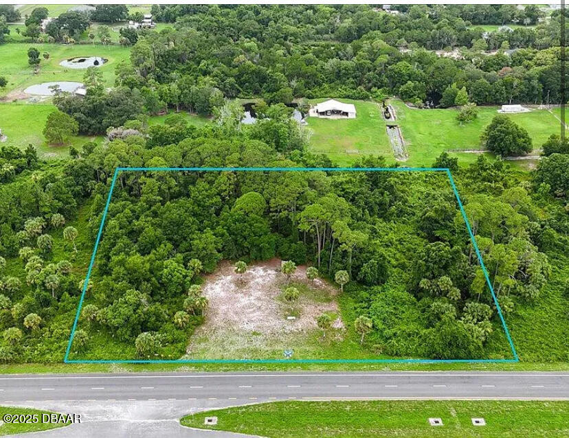 4150 U.S. Rte 1 Mims, FL 32754 - Photo 6 of 6 a view of a lush green forest