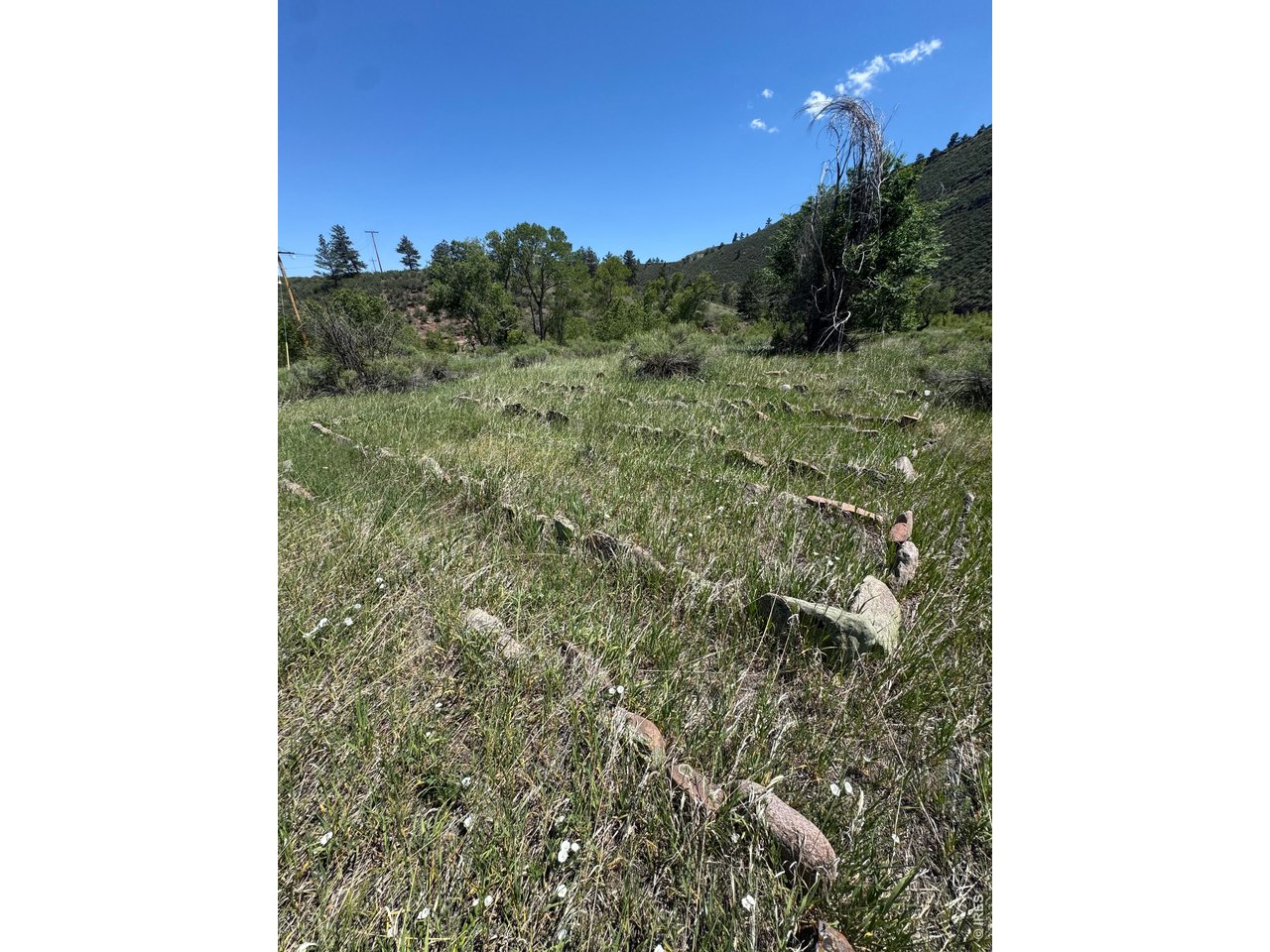 1115 Vision Way Lyons, CO 80540 - Photo 29 of 32 Old Community Garden Site