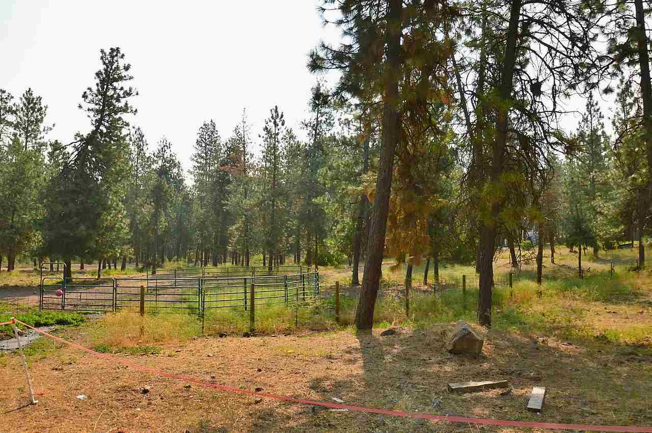 2010 East Smythe Road Spangle, WA 99031 - Photo 14 of 20