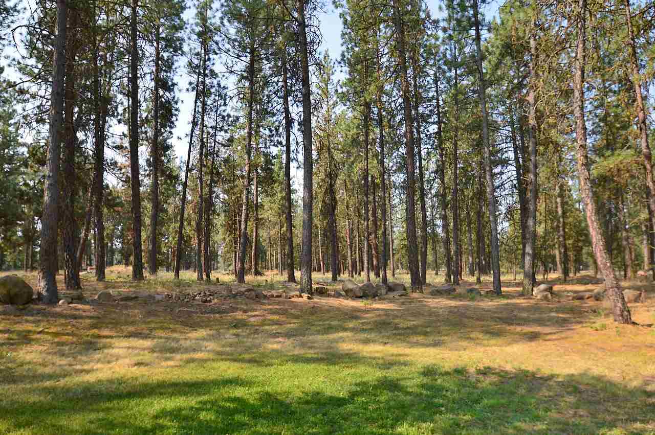 2010 East Smythe Road Spangle, WA 99031 - Photo 18 of 20