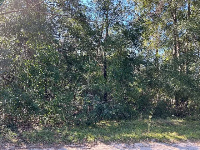 $20,000 | Tbd Northeast 138th Terrace, Williston, FL 32696