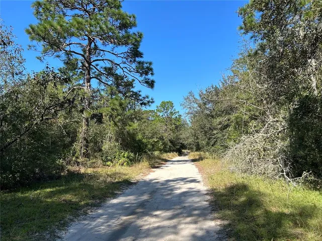 $20,000 | Tbd Northeast 138th Terrace, Williston, FL 32696