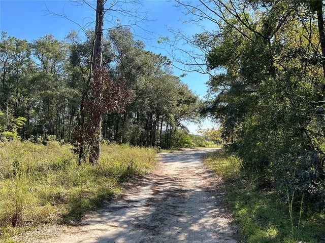 $20,000 | Tbd Northeast 138th Terrace, Williston, FL 32696