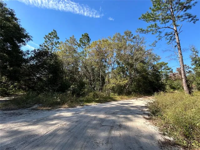 $20,000 | Tbd Northeast 138th Terrace, Williston, FL 32696