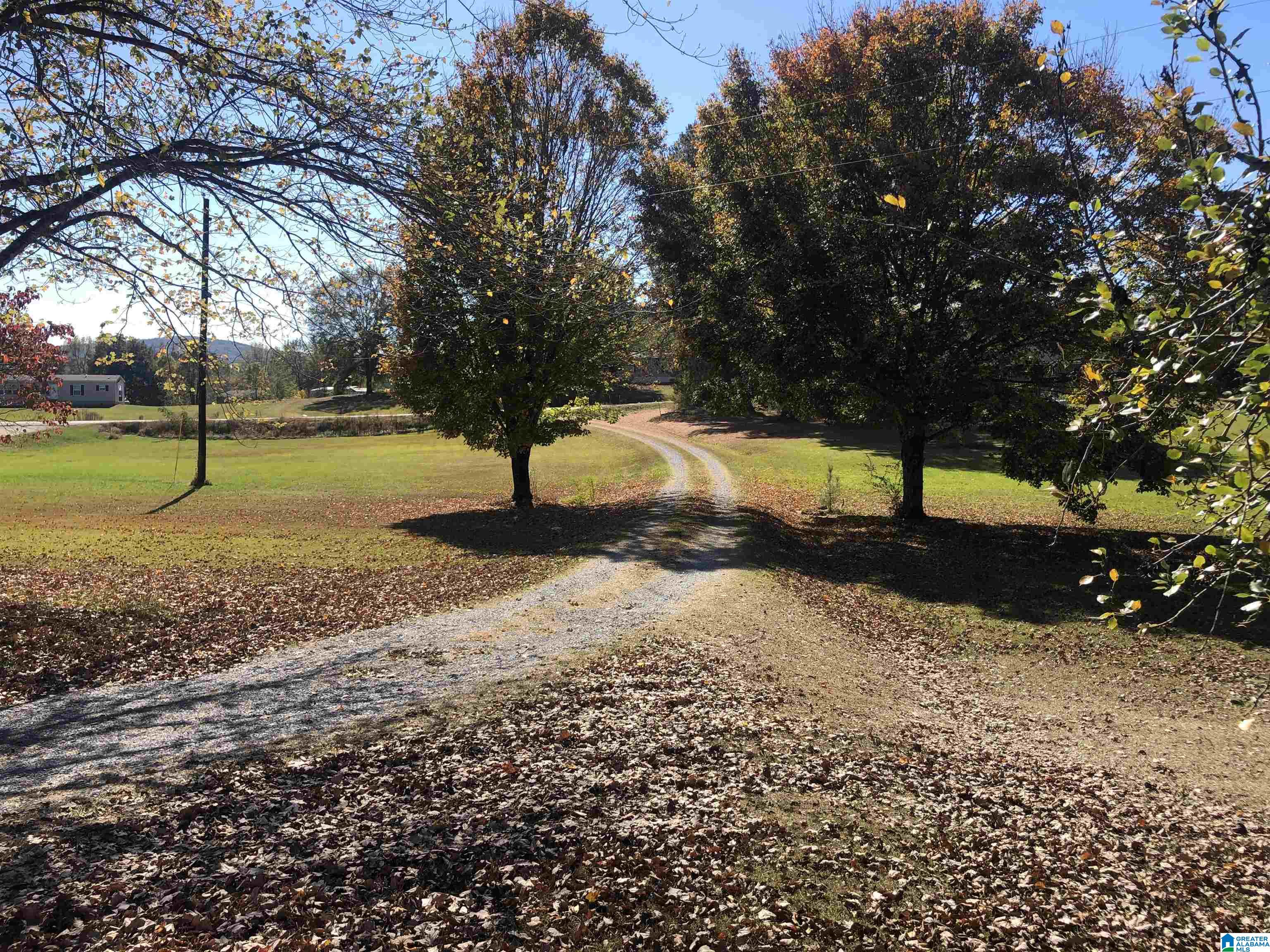 434 Flag Pole Mountain Road Childersburg, AL 35151 - Photo 4 of 71