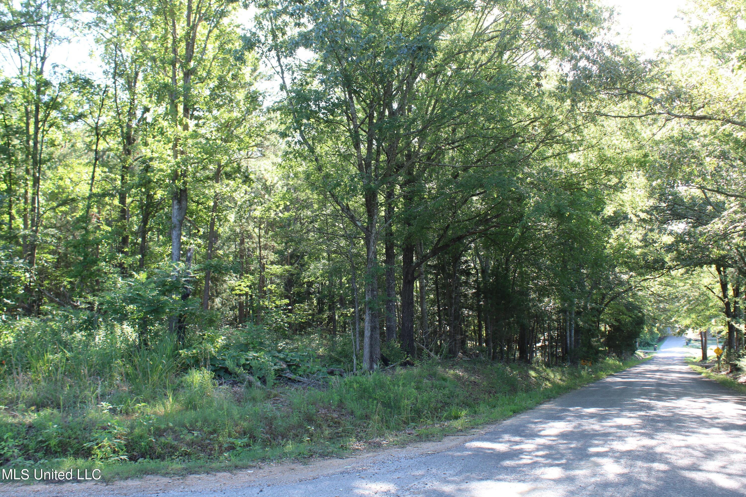 199 Betts Road Potts Camp, MS 38659 - Photo 15 of 24 IMG_4056