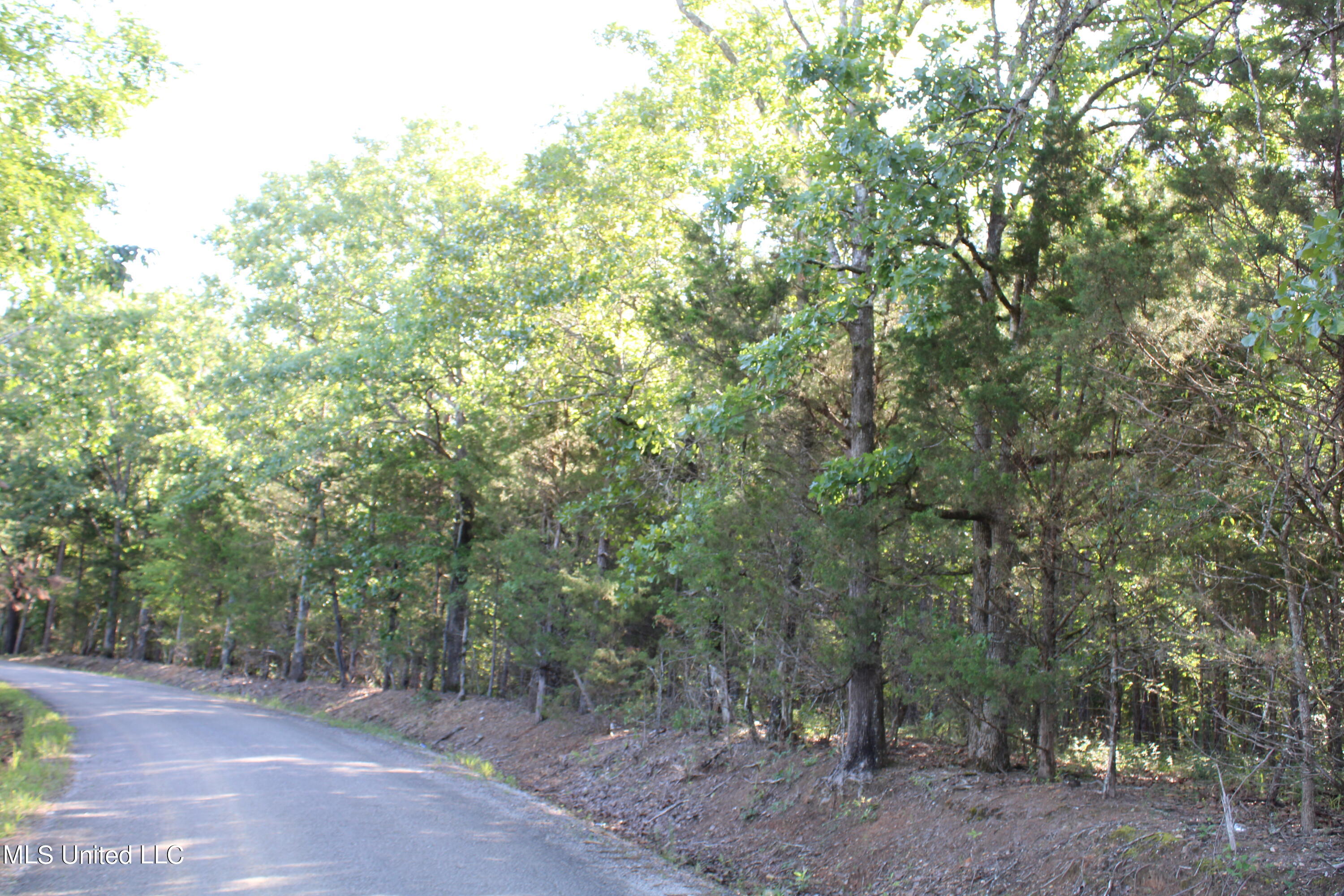 199 Betts Road Potts Camp, MS 38659 - Photo 19 of 24 IMG_4062