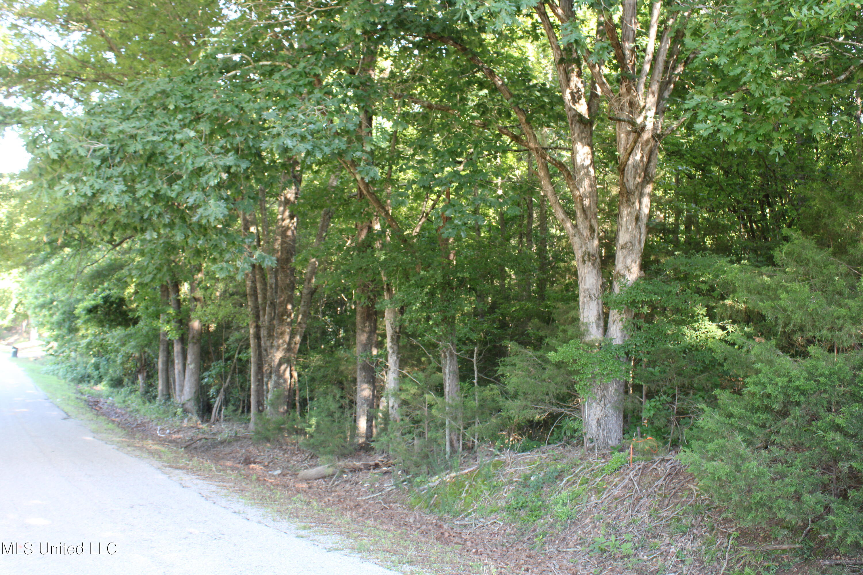 199 Betts Road Potts Camp, MS 38659 - Photo 6 of 24 IMG_4047