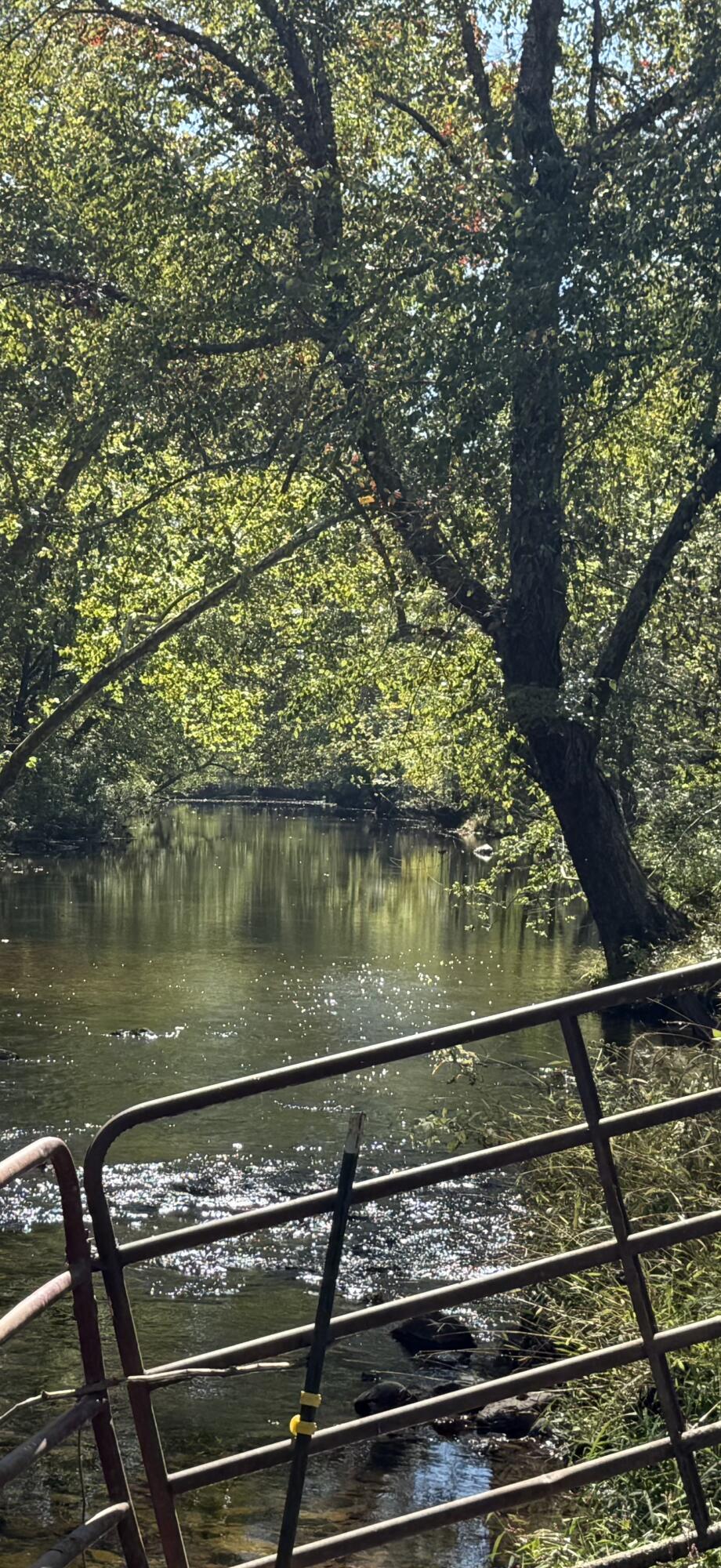 a view of lake from balcony