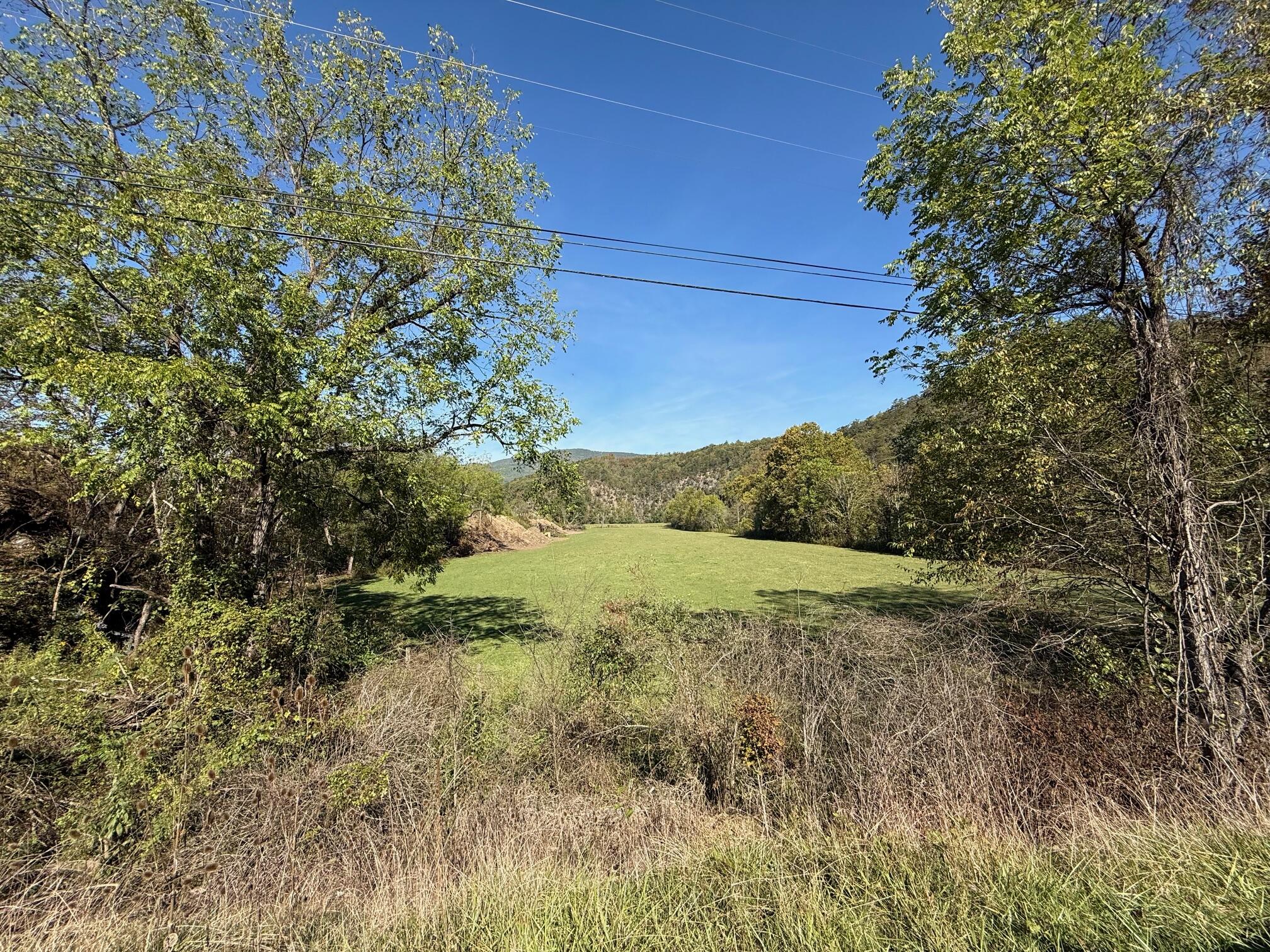 6402 Potts Creek Road Covington, VA 24426 - Photo 13 of 34 a view of a yard with an outdoor space