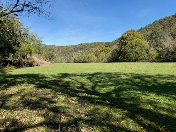 a view of outdoor space with green field and trees all around