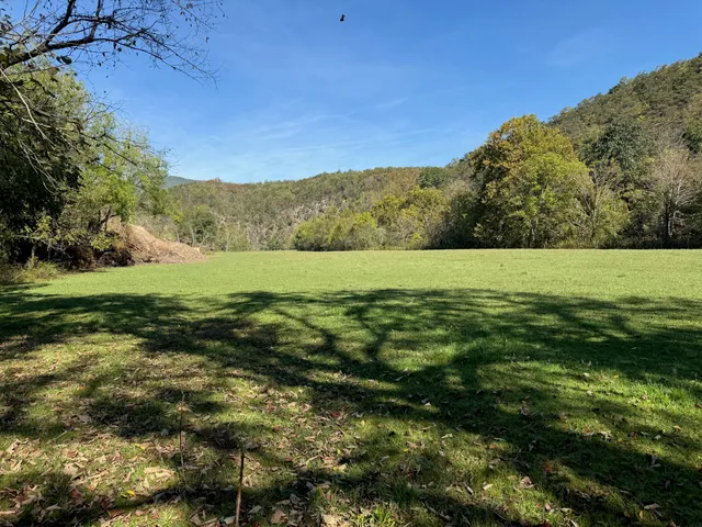 a view of outdoor space with green field and trees all around
