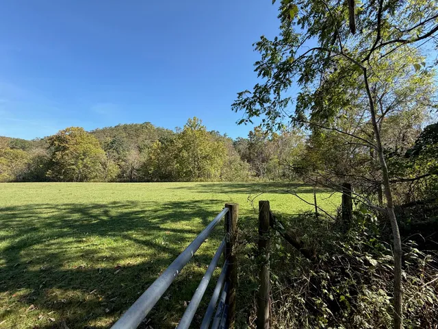 a view of a lake from a yard