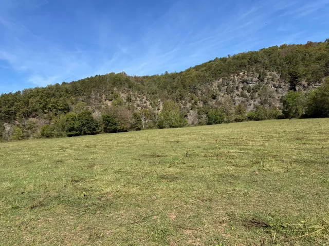 a view of yard with mountain