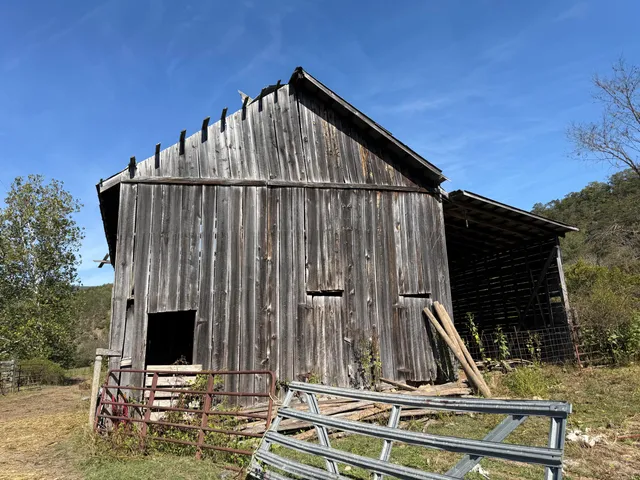 a view of a house with large trees