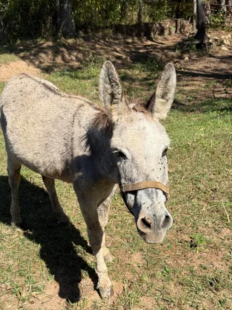 a view of ocean view